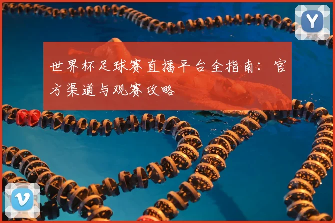 世界杯足球赛直播平台全指南:官方渠道与观赛攻略